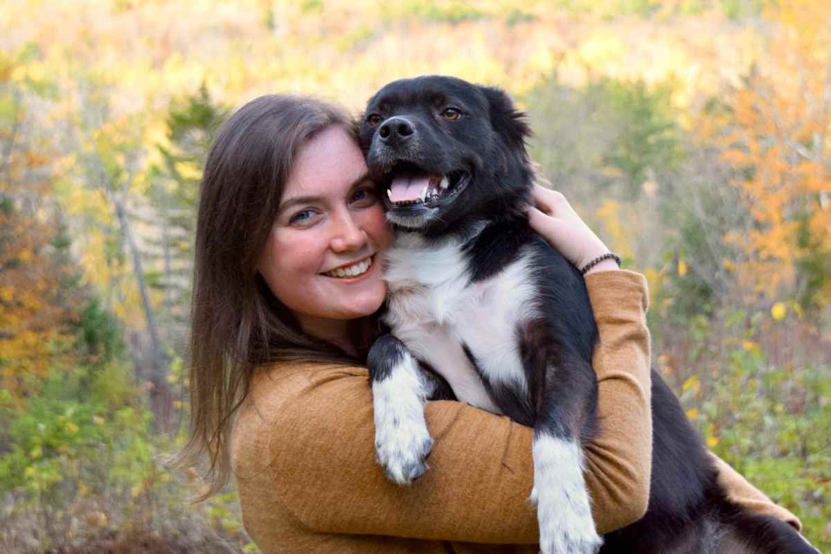 Cambia tutto per padroni di cani e gatti: nuove regole