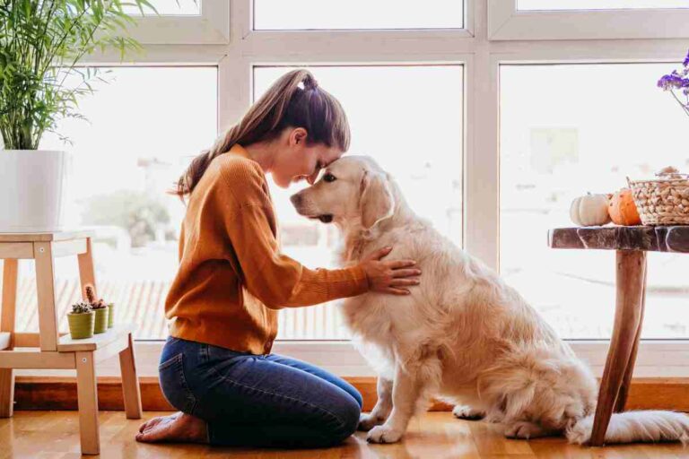 permessi morte malattia animale domestico