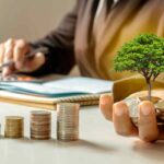 Una spesa minima per un guadagno enorme: gli investimenti vincenti, i dettagli