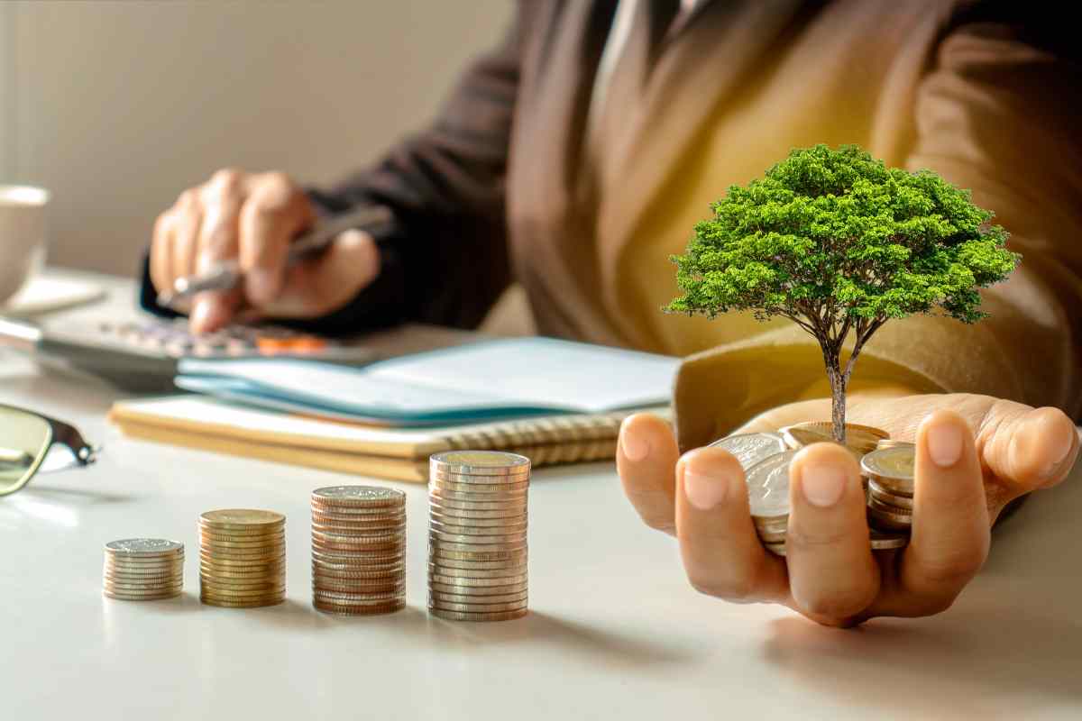 Una spesa minima per un guadagno enorme: gli investimenti vincenti, i dettagli