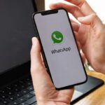 WhatsApp, ora non potrai più usare questa scusa
